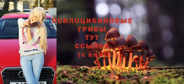 spice Алзамай