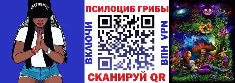 Псилоцибиновые грибы Psilocybine cubensis  Себеж 